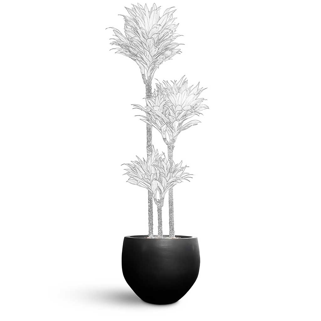 73 Dartmouth Road Orb Natural Planter Plant Stand - View 3