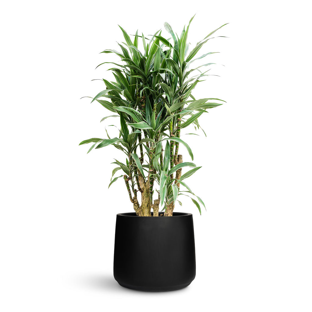 73 Dartmouth Road Patt Natural Planter Plant Stand - View 1