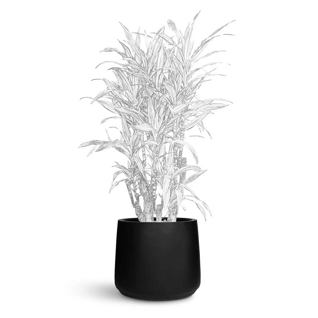 73 Dartmouth Road Patt Natural Planter Plant Stand - View 3