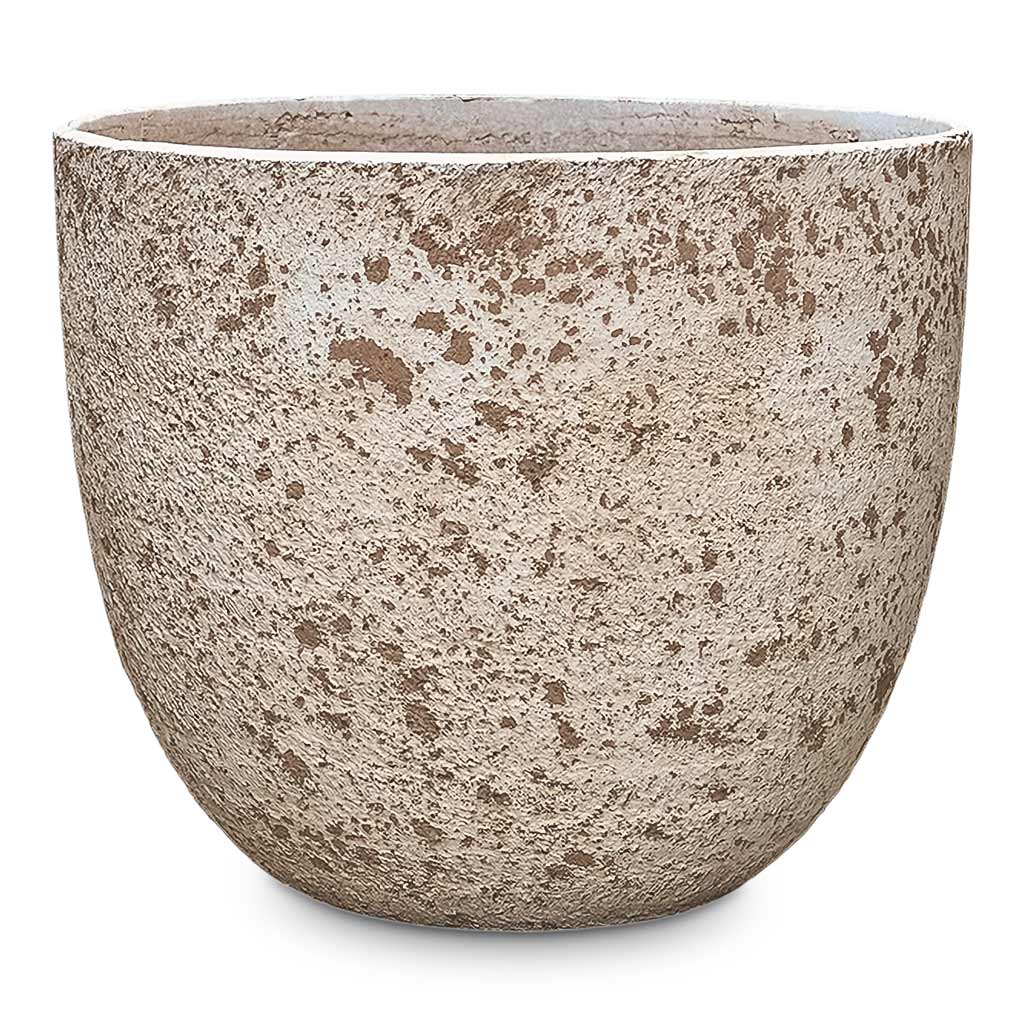 73 Dartmouth Road Sudetes Couple Planter - Rustic Beige - View 2