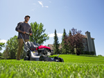 Superior Mulching and Bagging