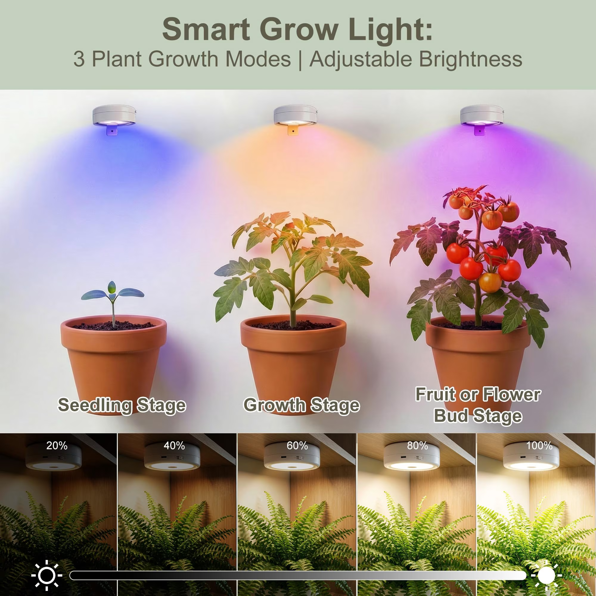 Grow Light for Indoor Plants, Rechargeable Grow Lights for Indoor Plant Full Spectrum, Wireless Plant Growth Lights for Indoor with Timer & Remote, Stepless Dimming