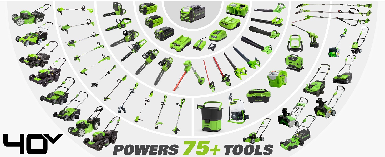 40v family