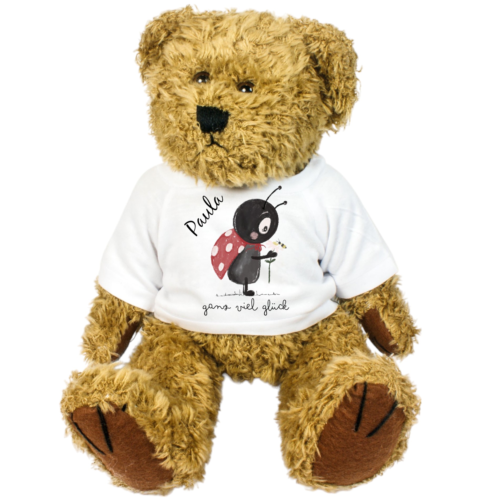 Glücks-Teddy „Anton“ mit personalisiertem T-Shirt