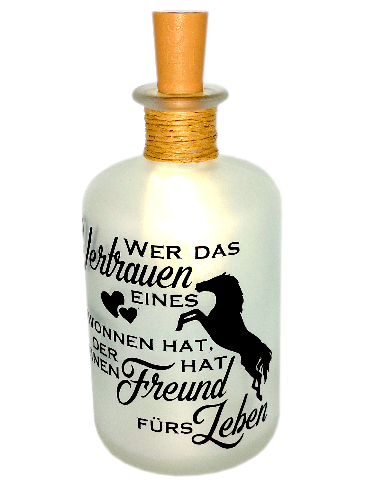 LED-Leuchtflasche Haustier Pferd Freund