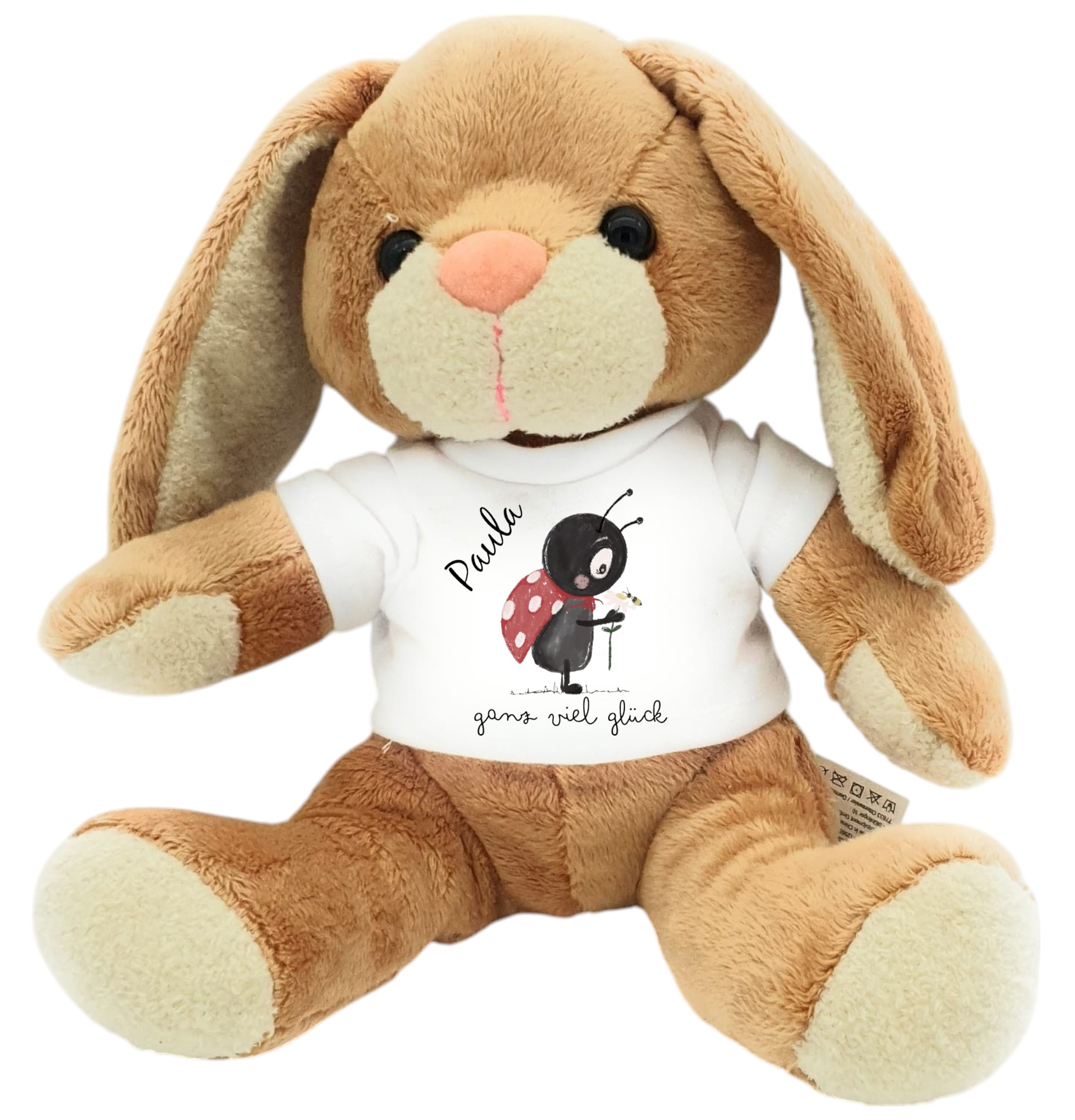 Glücksbringer mit Name & Spruch Ganz viel Glück – Flauschiges Plüschtier mit Marienkäfer-Motiv