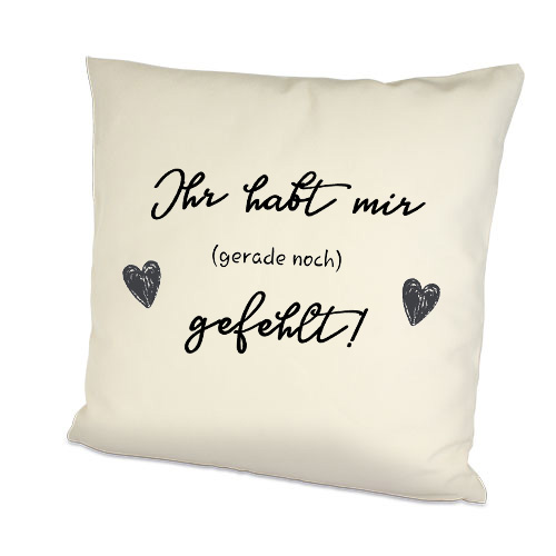 Dekokissen Spruch Ihr habt mir gefehlt Einweihung