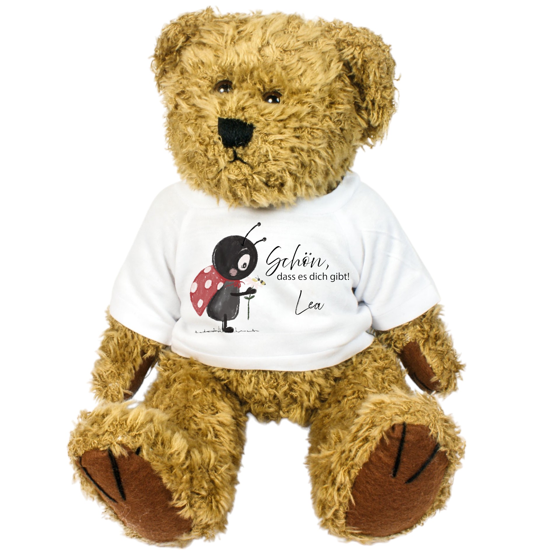 Personalisierter Teddybär – Kuschelbär mit Name & Spruch Schön, dass es dich gibt