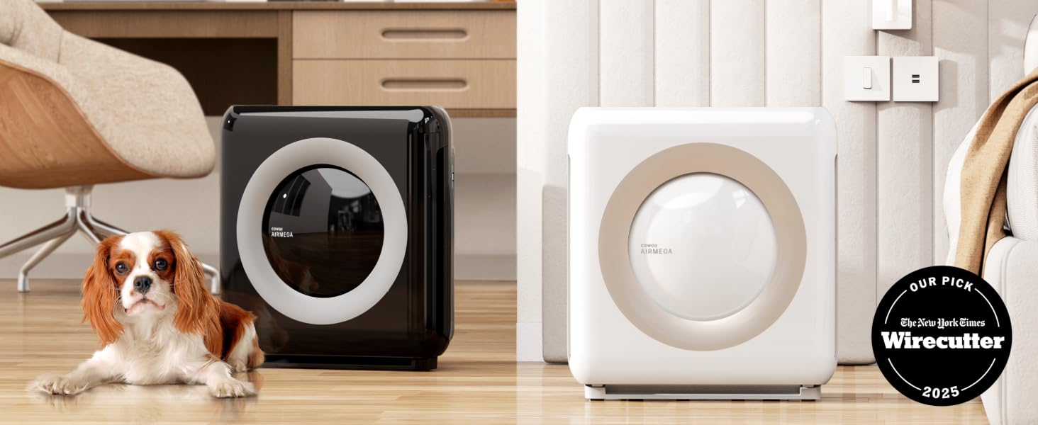 El texto dice «Colección Whirlwind» (insignia circular). Dos luminarias circulares de color blanco y oscuro se muestran junto a la decoración interior de la casa, con un perro pequeño, muebles de madera y una decoración neutra.