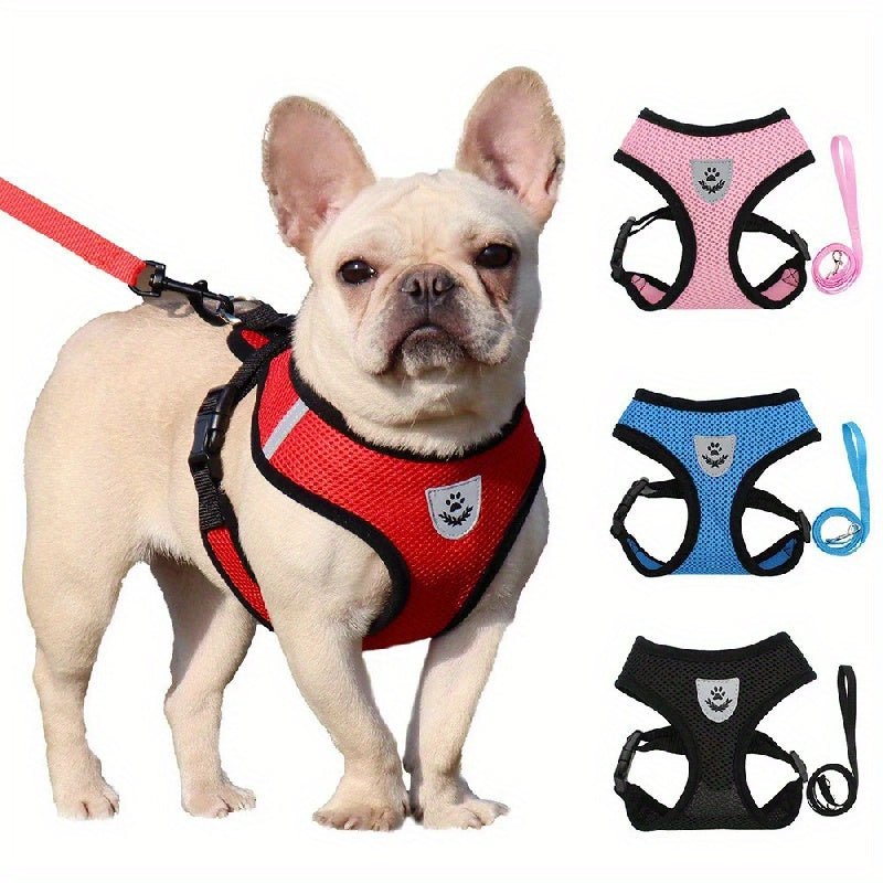 Harness with leash for small and medium-sized dogs.
