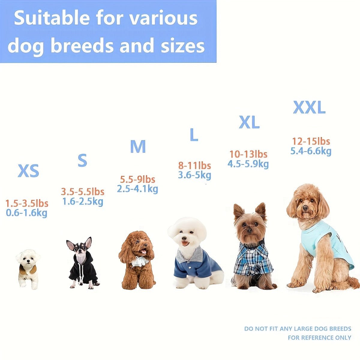 Harness with leash for small and medium-sized dogs.