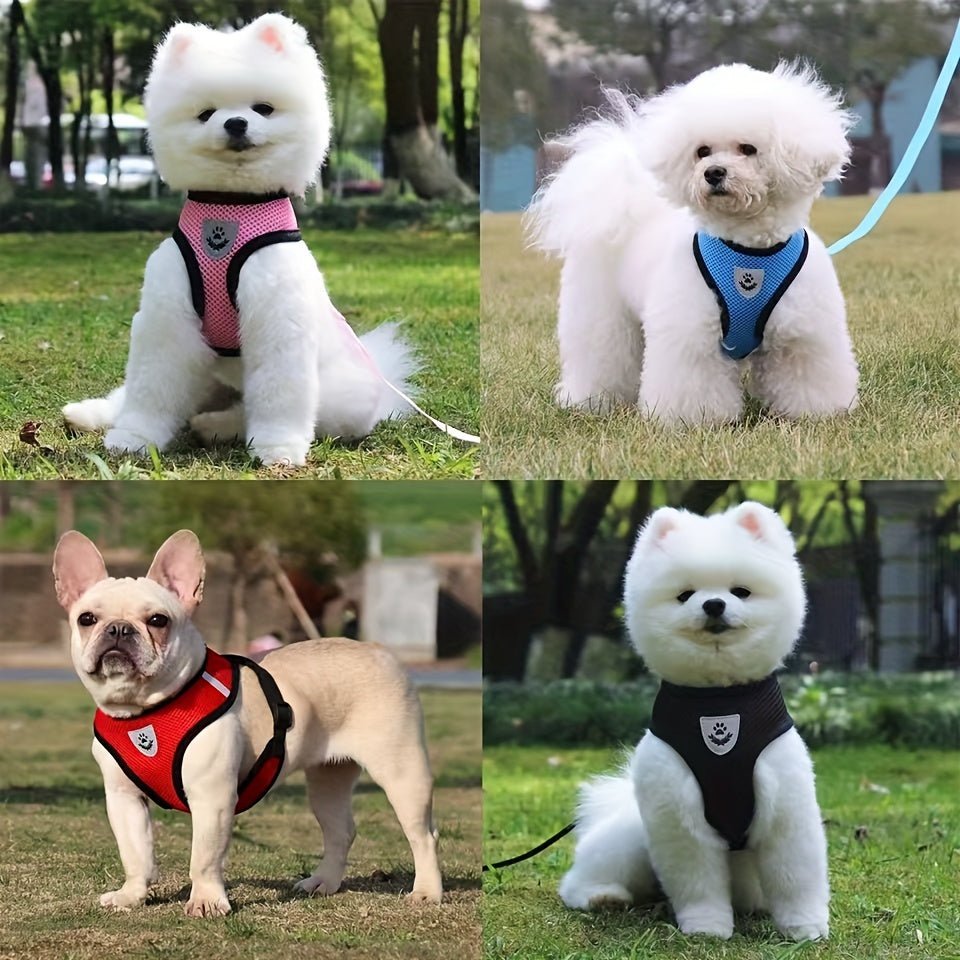 Harness with leash for small and medium-sized dogs.