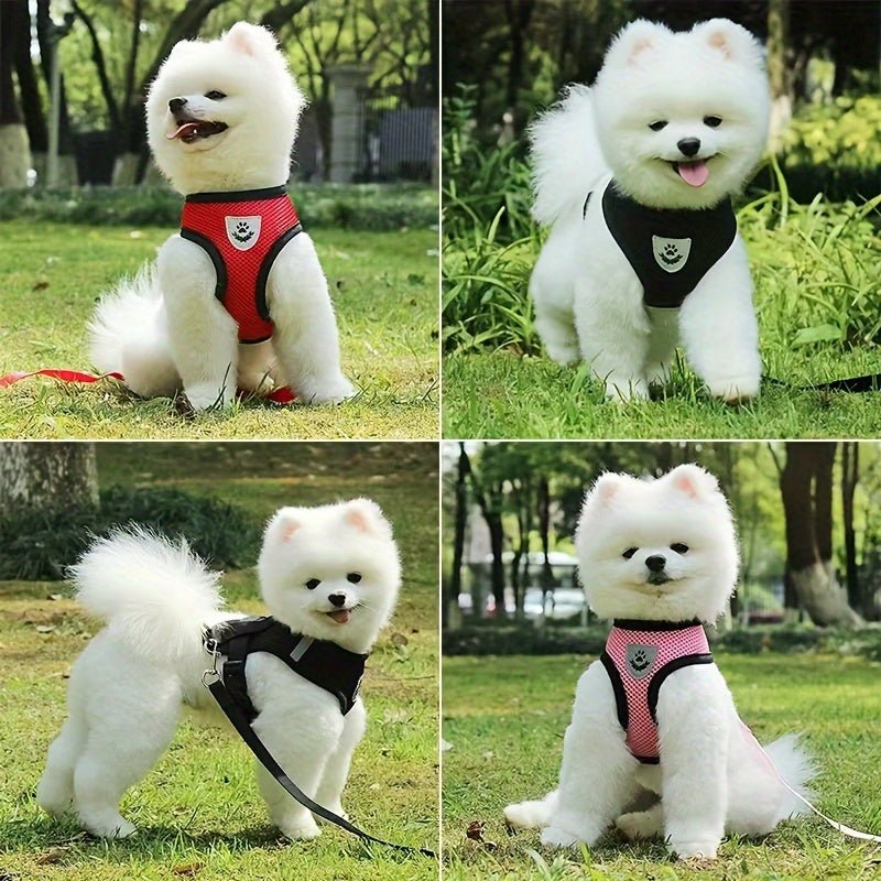 Harness with leash for small and medium-sized dogs.