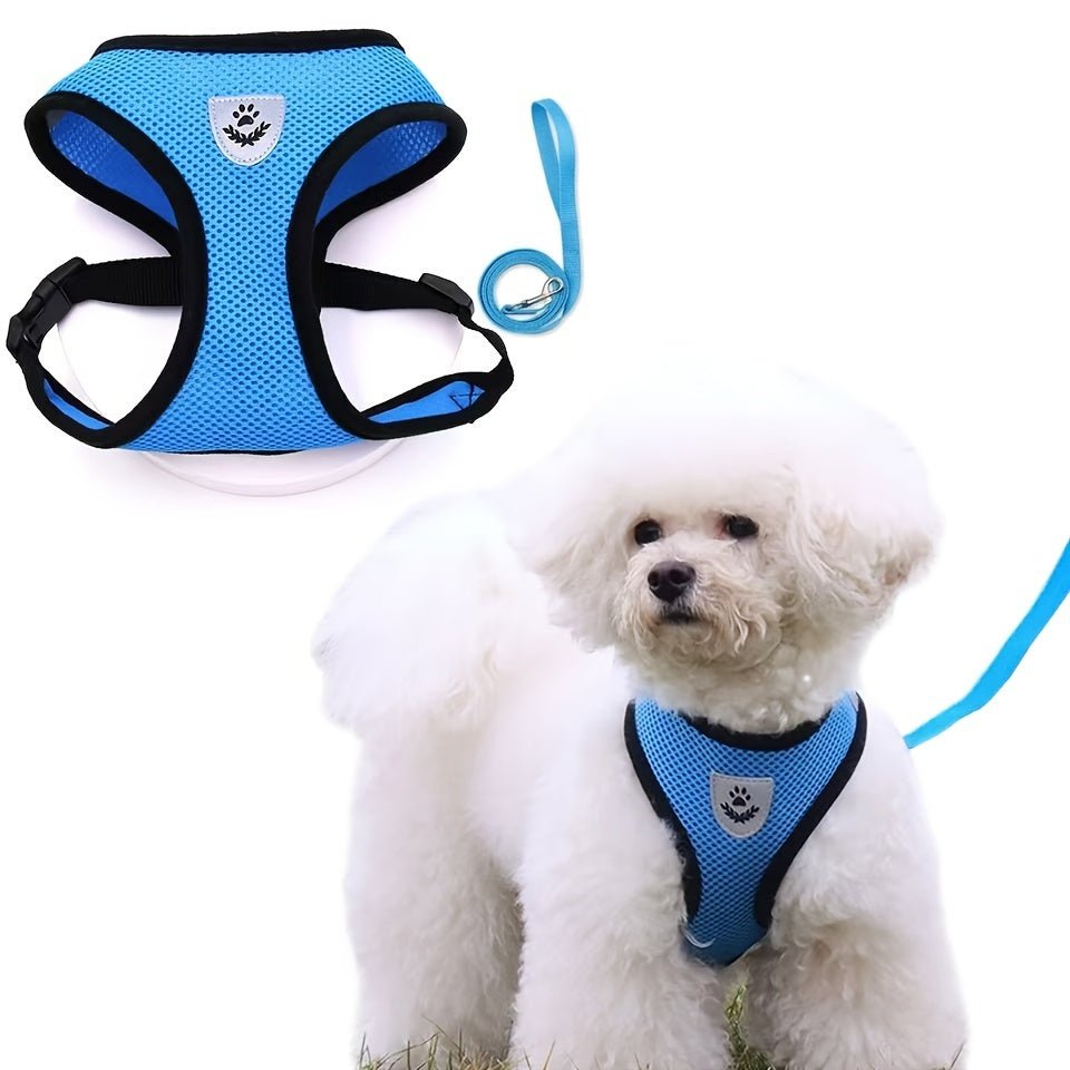 Harness with leash for small and medium-sized dogs.