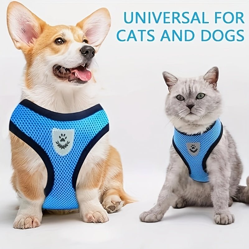 Harness with leash for small and medium-sized dogs.