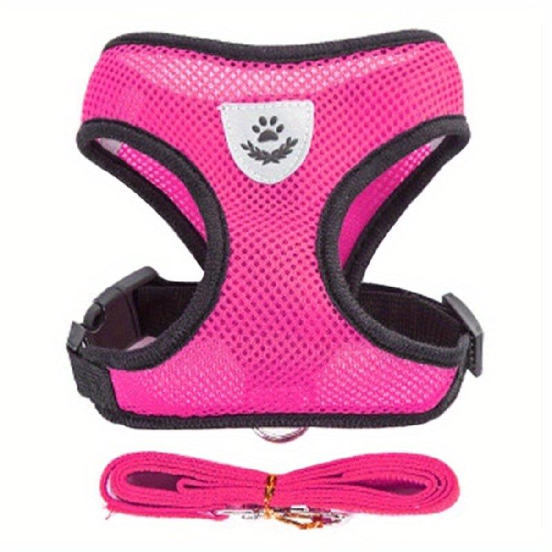 Harness with leash for small and medium-sized dogs.