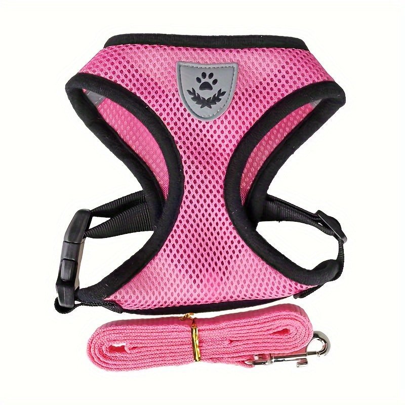 Harness with leash for small and medium-sized dogs.