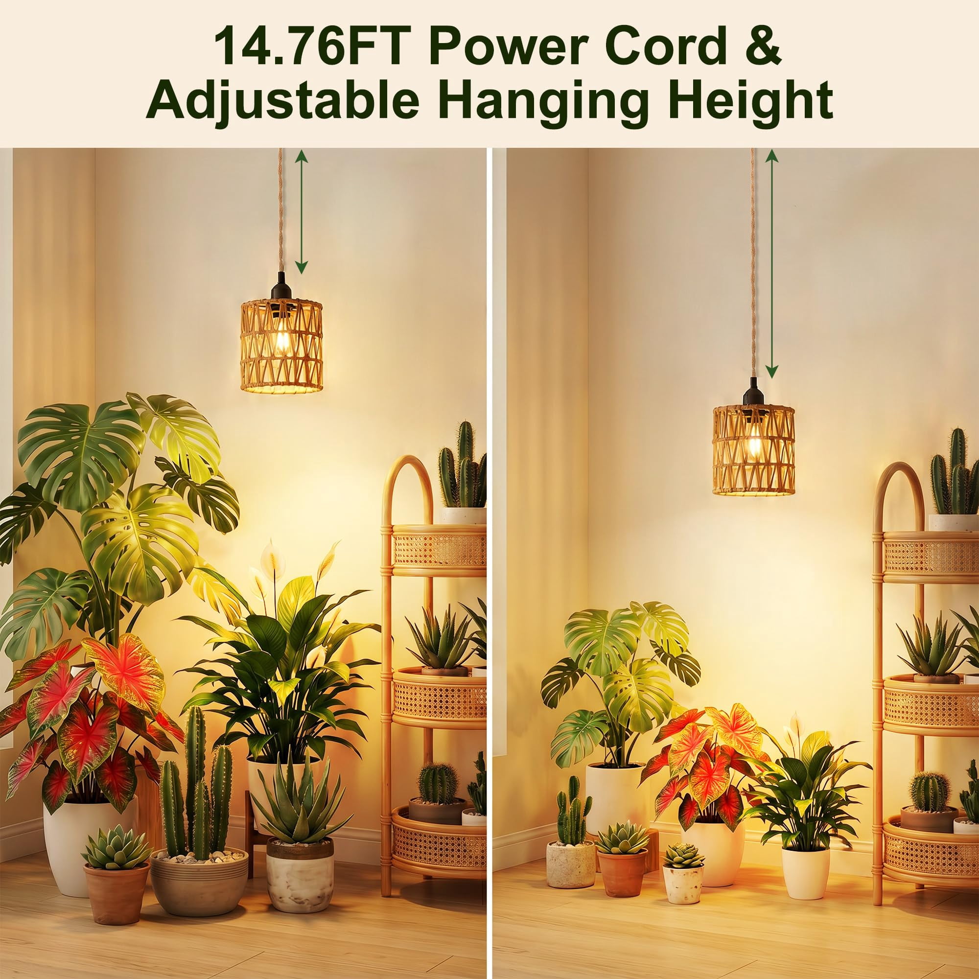 2 Pack Boho Rattan LED Grow Light, 10W Full Spectrum, 24H Timer, 15FT Cord, 110-220V, Hanging Plant Lamp for Indoor Tall Plants
