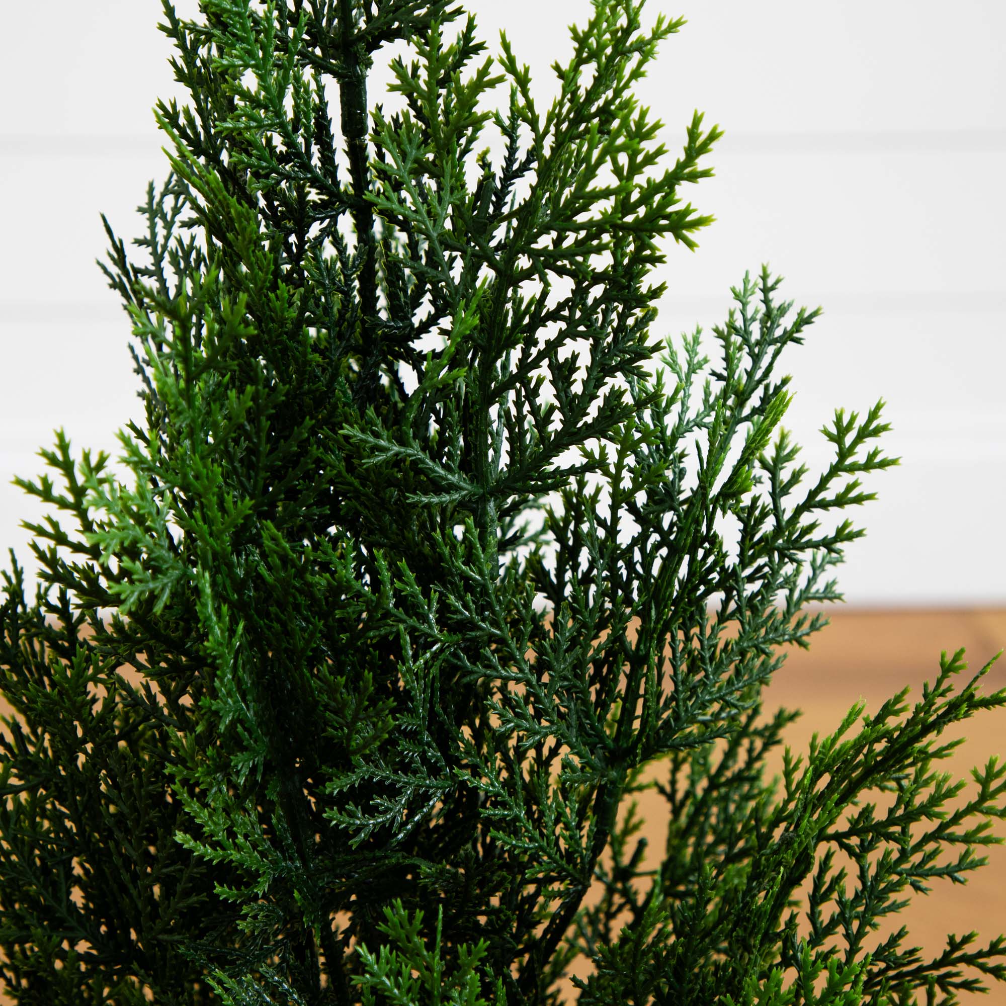 2’ Mini Cedar Pine Tree (Indoor/Outdoor) - view 2