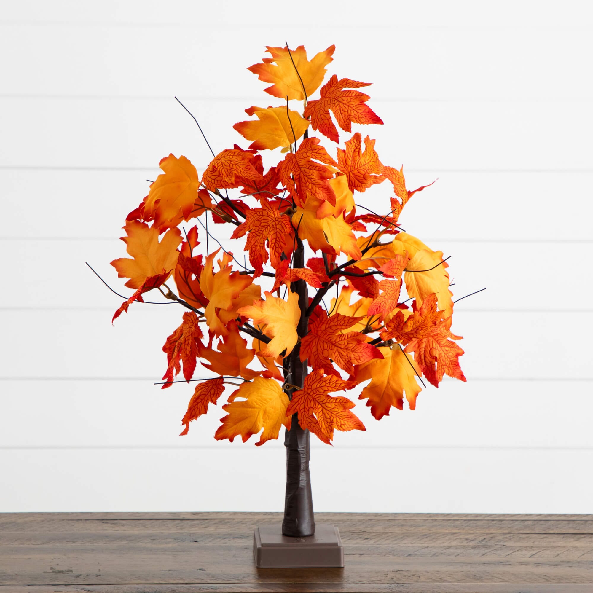 Tabletop Maple with Detachable Base and Lights