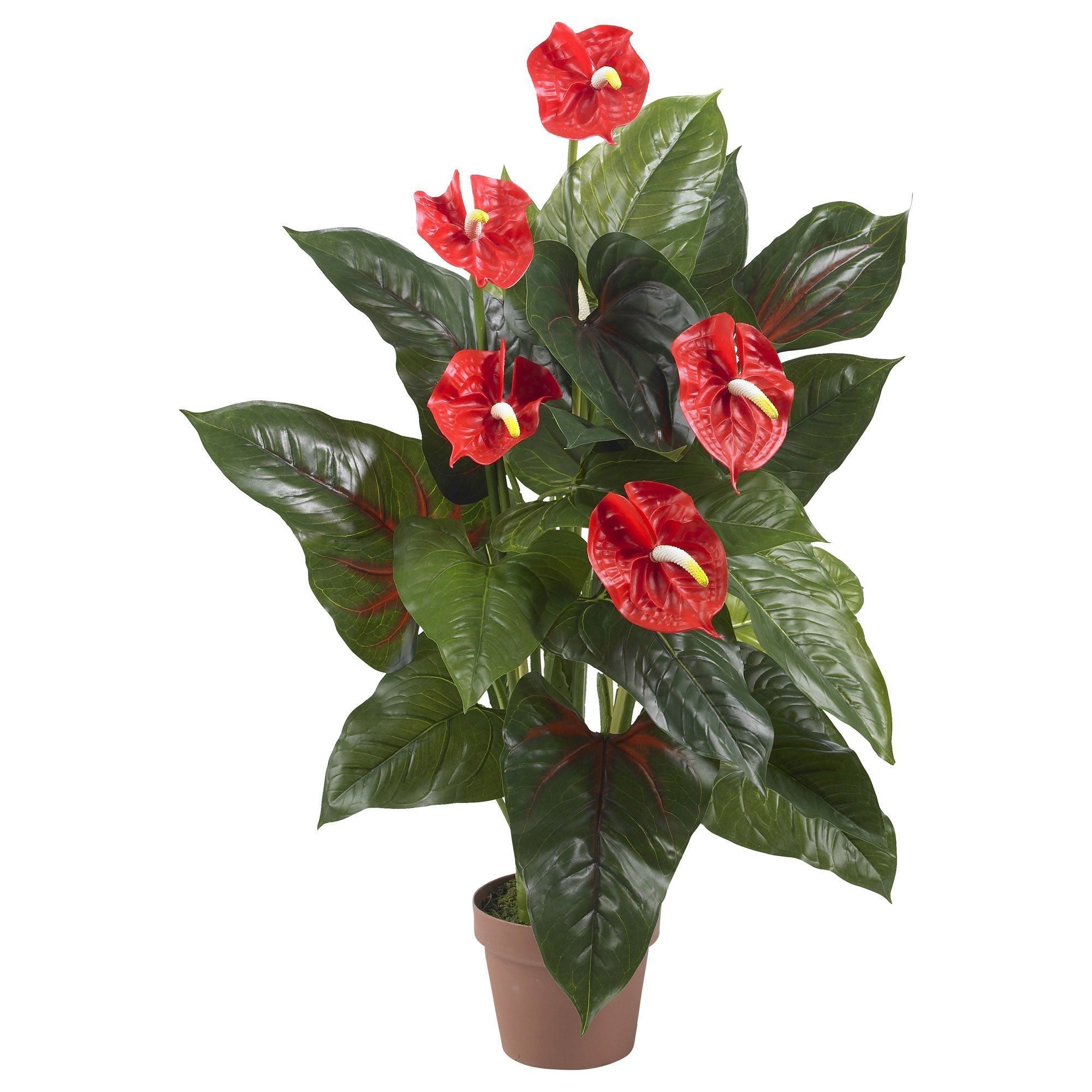 Red-Bloom Anthurium Greenery Accent
