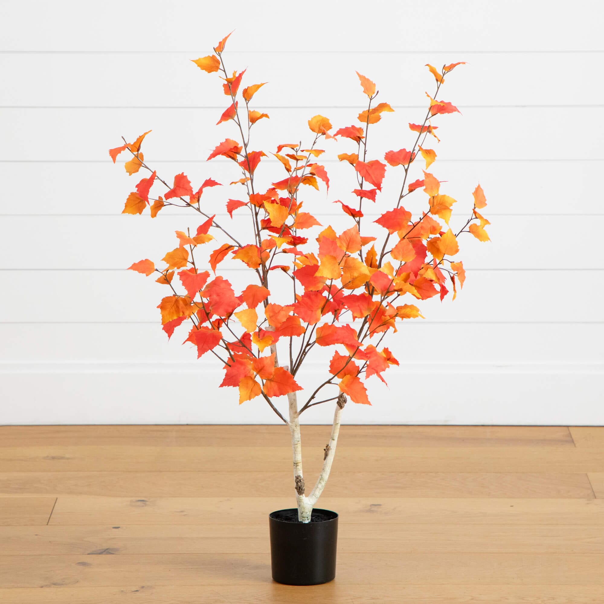 Compact Birch Branch Floor Accent