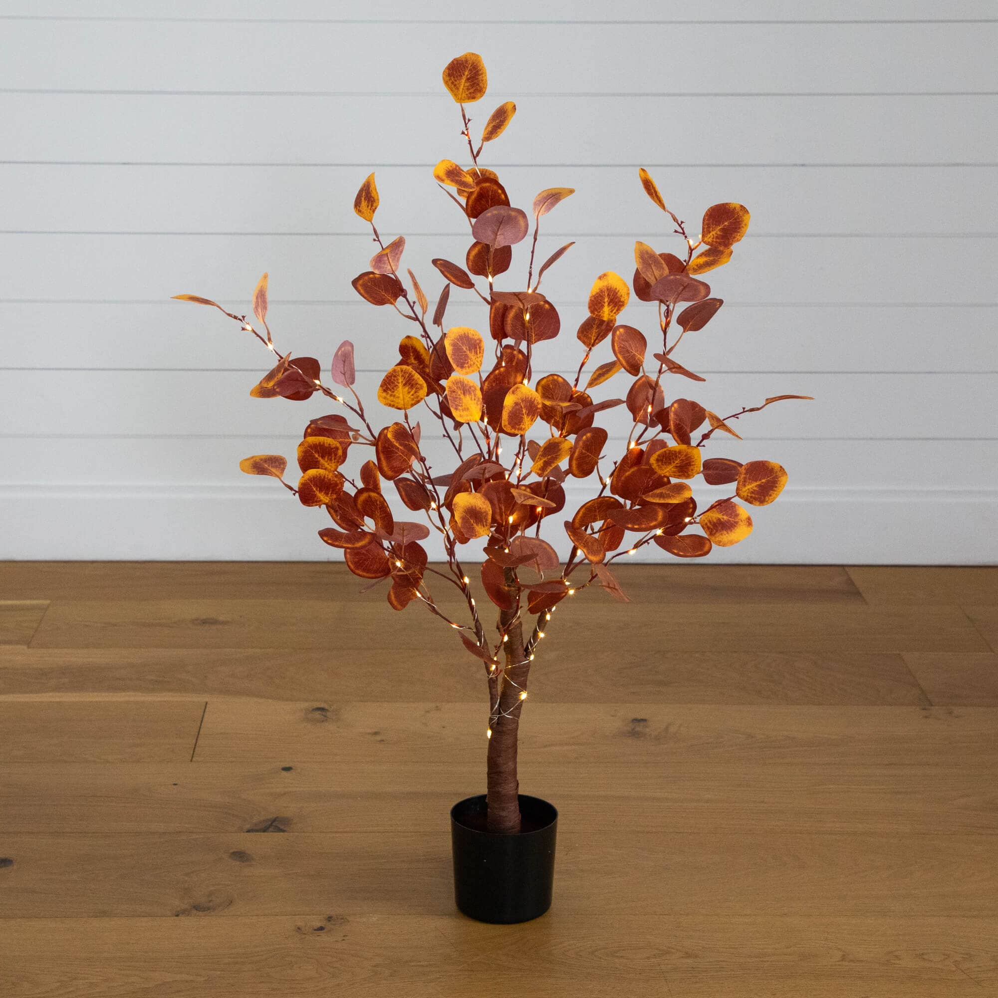 Lighted Eucalyptus in Smoky Autumn Tones