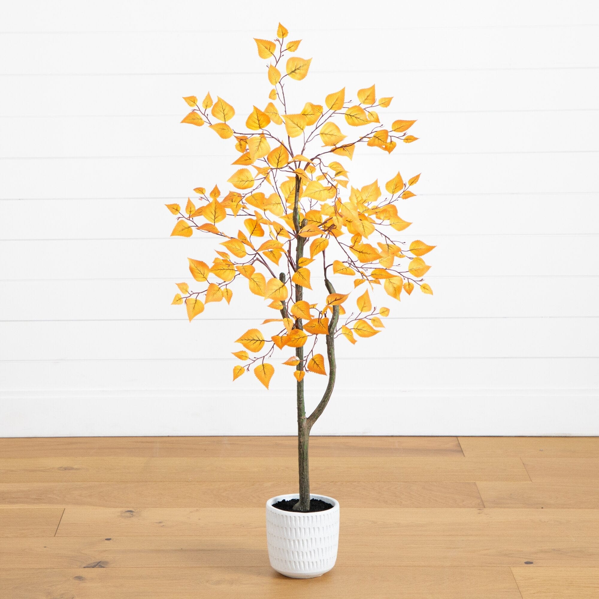 Birch Foliage in a White Planter