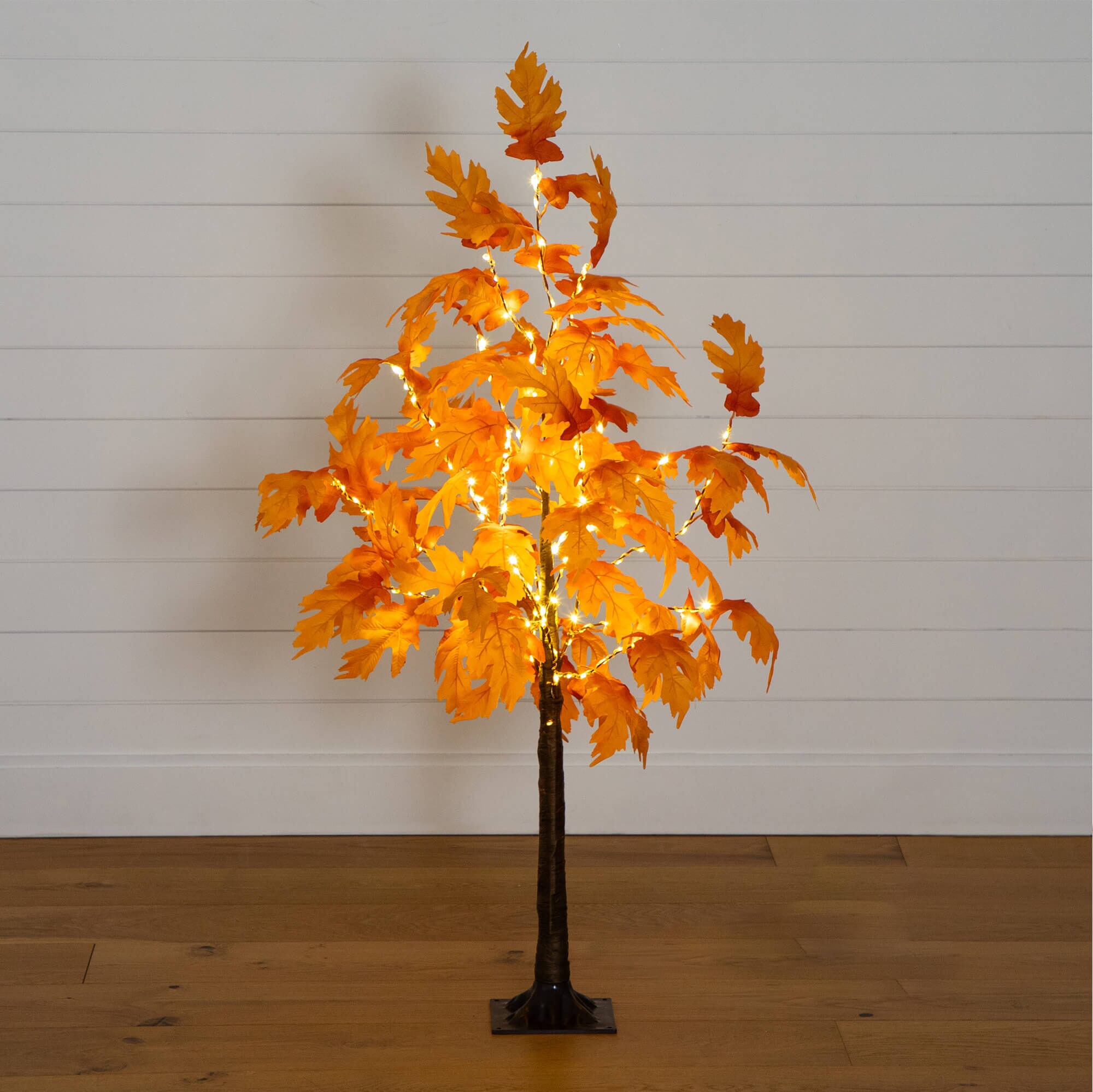 Warm-Lighted Autumn Maple on a Stand