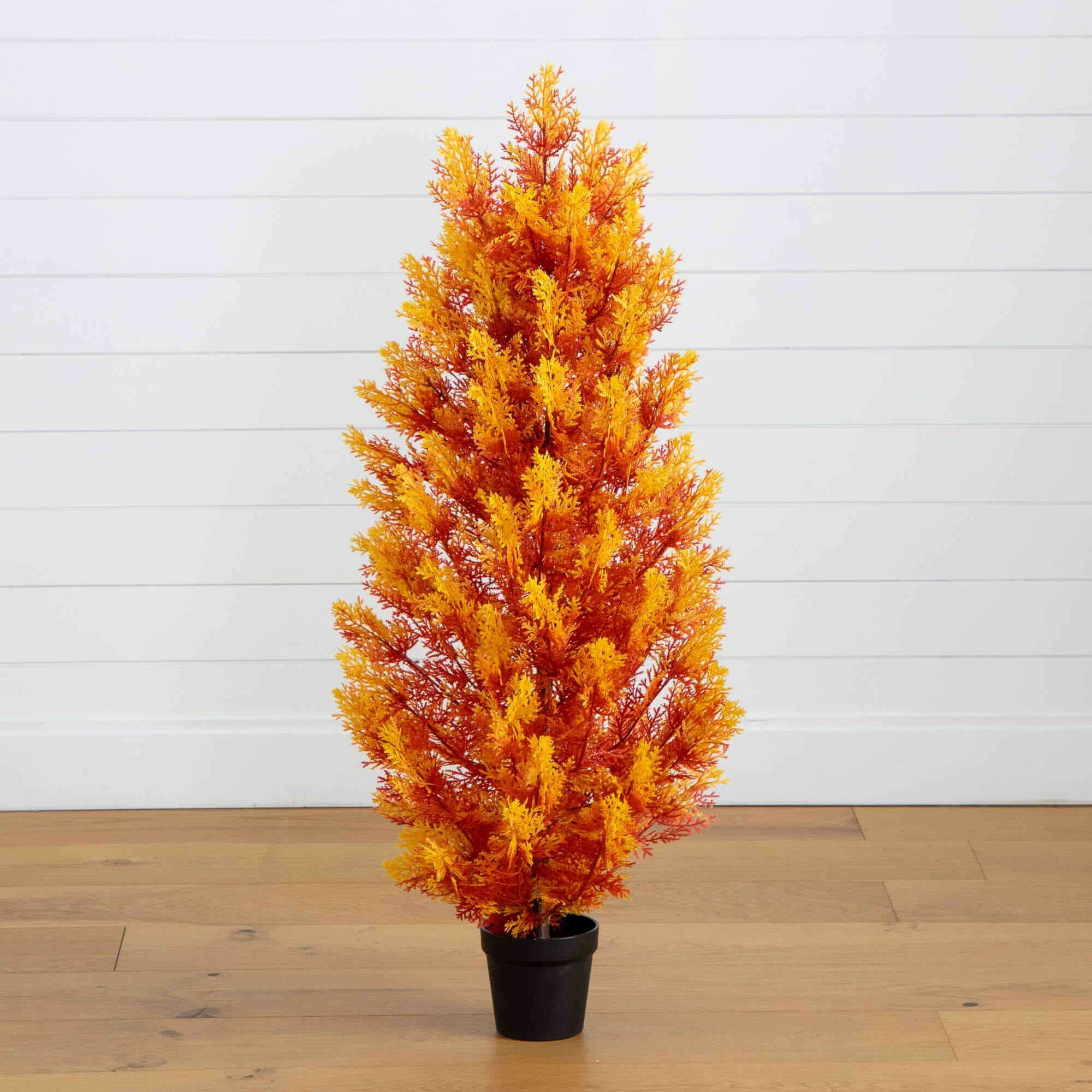 Harvest-Tone Cedar Accent Tree
