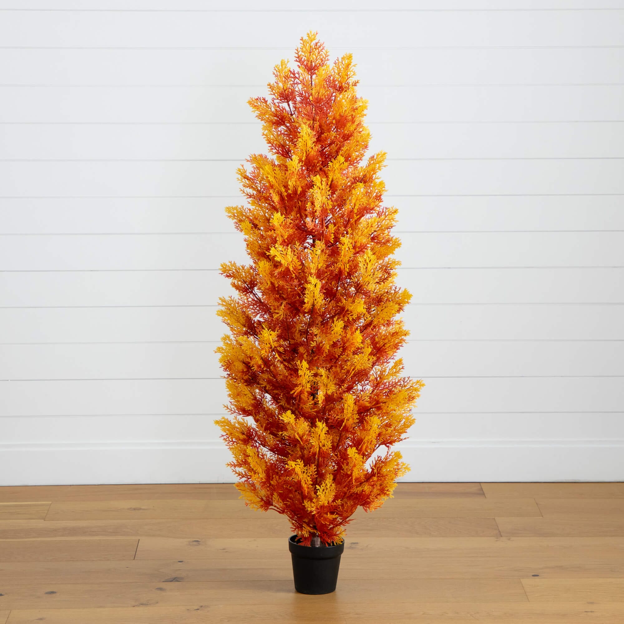 Tall Cedar Display in Harvest Colors