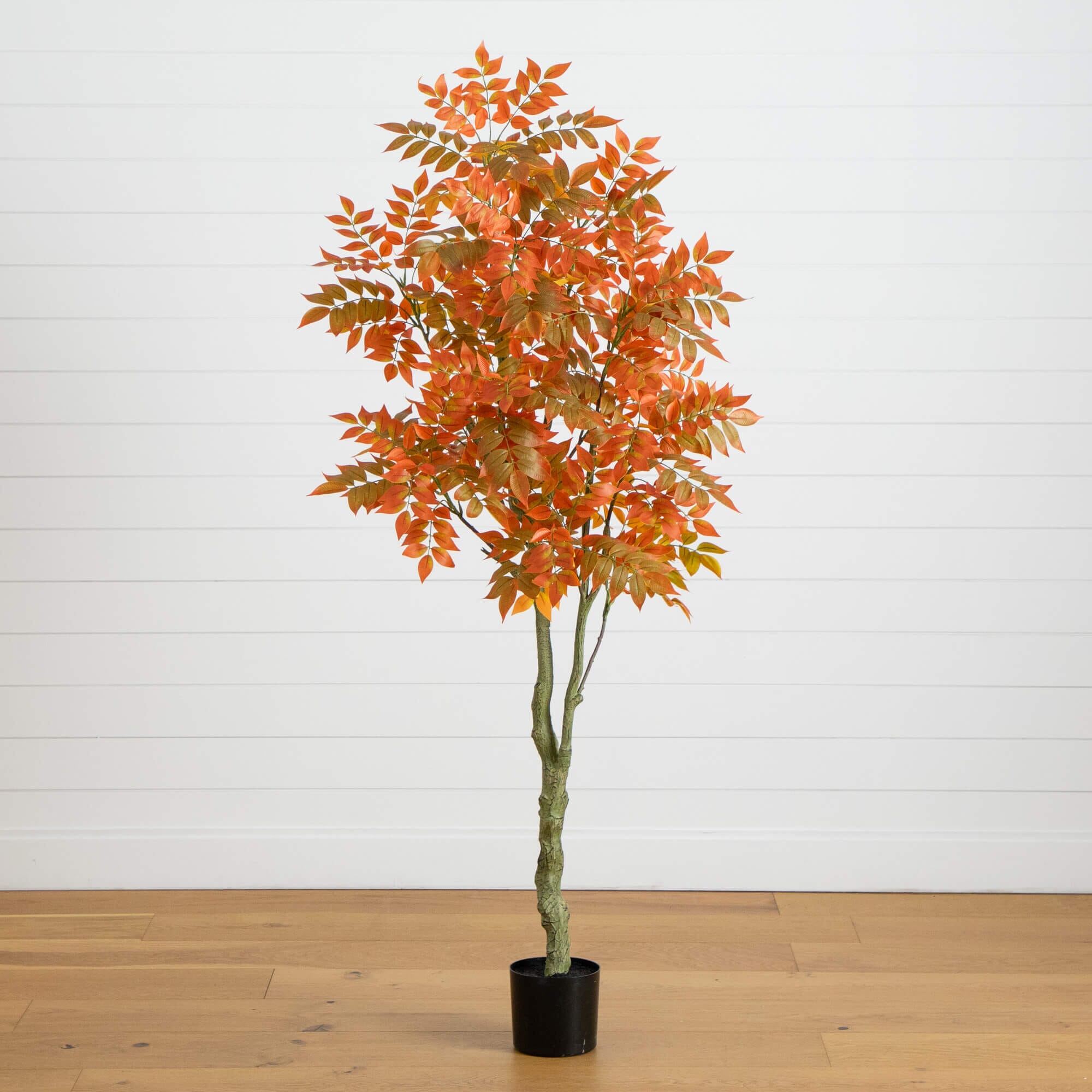 Tall Orange Sumac Floor Accent