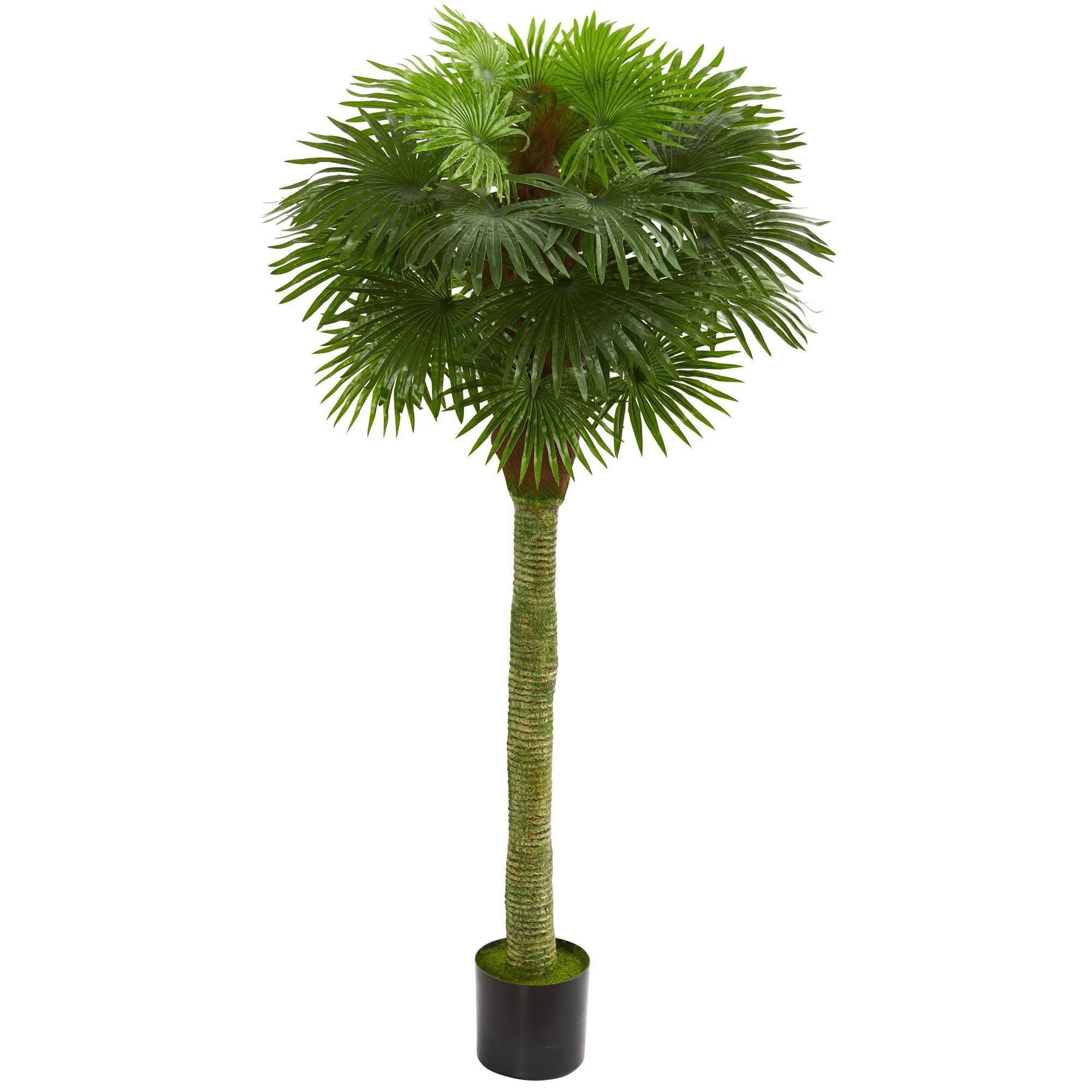 Layered Fan-Leaf Tropical Floor Accent