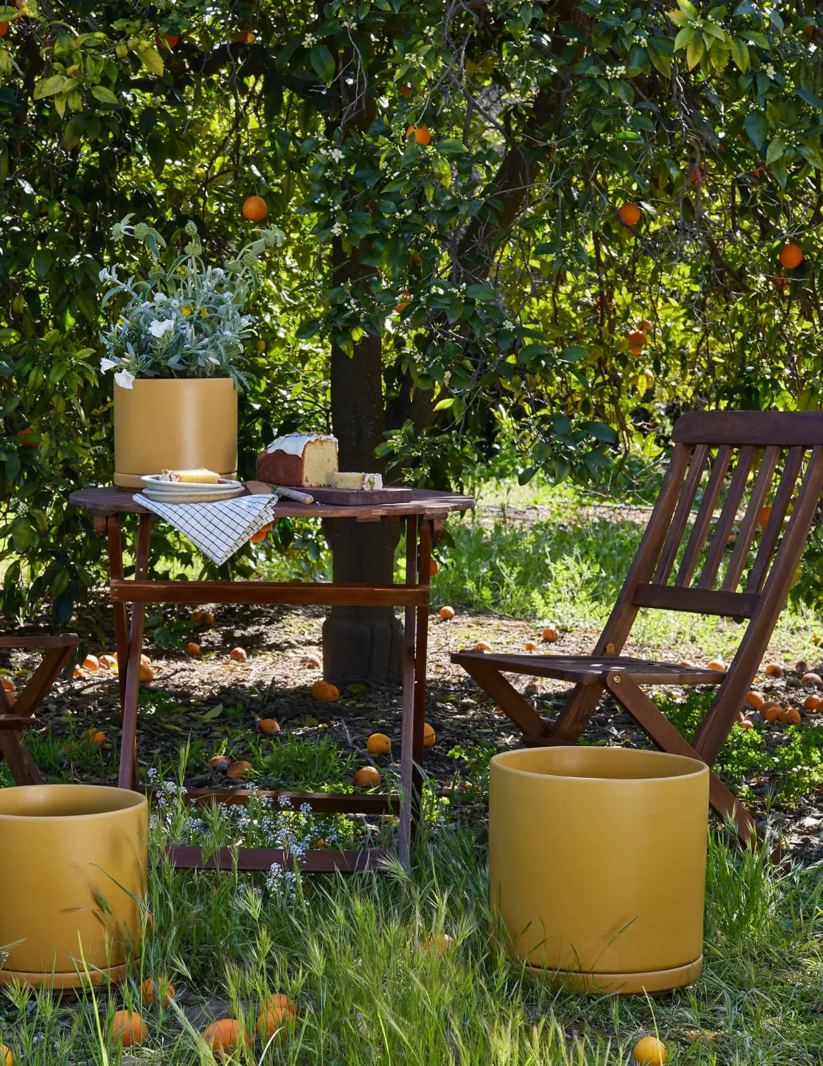 Classic Terracotta Clay Pot Set
