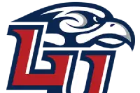 Liberty Flames logo – college jerseys and fan gear at CollegeKit Hub
