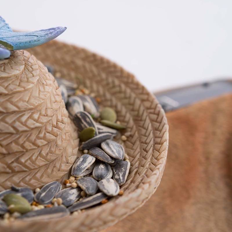Cat in Sunglasses and Sombrero Bird Feeder with Solar Lighted Butterfly
