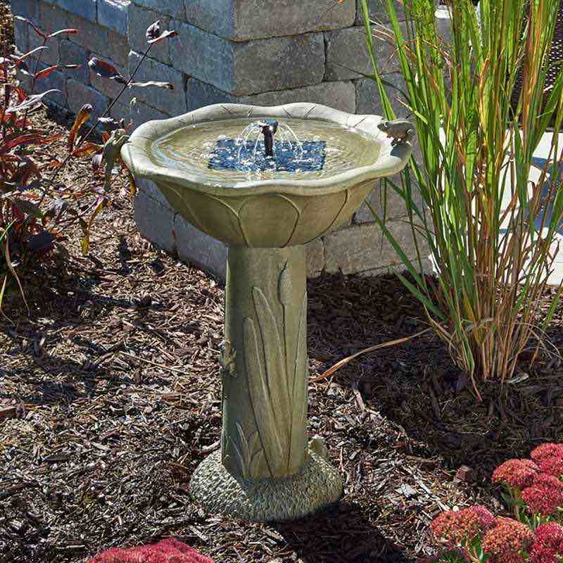 Smart Solar Acadia Frog Birdbath
