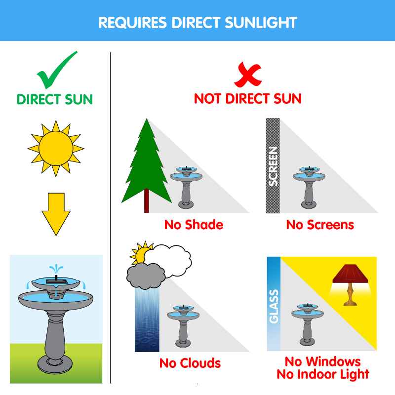 Smart Solar Acadia Frog Birdbath