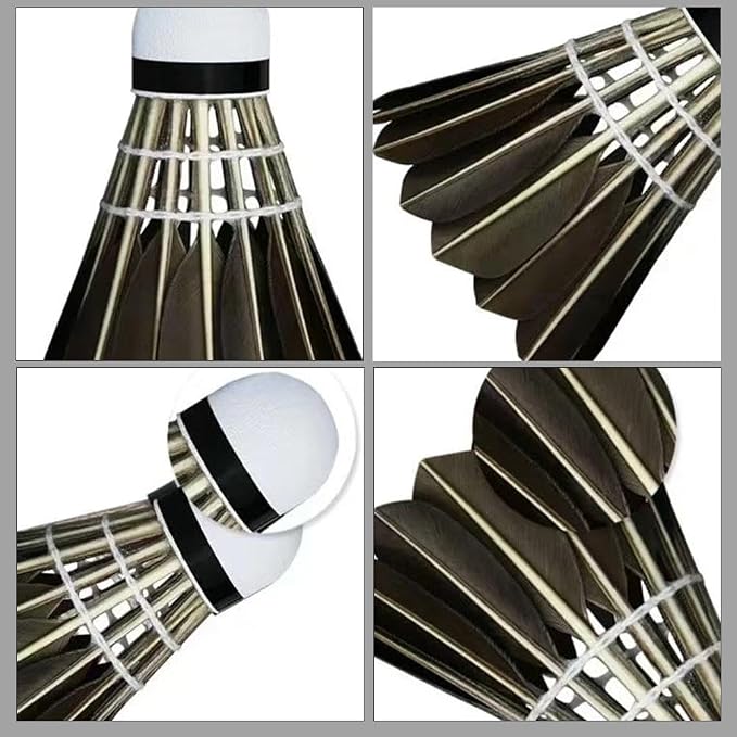 Durable Badminton Shuttlecocks,Indoor Outdoor Sports Badminton Balls Windproof Shuttlecock,Sport Ball for Training Exercise Gym Fitness Game-Aylmersport