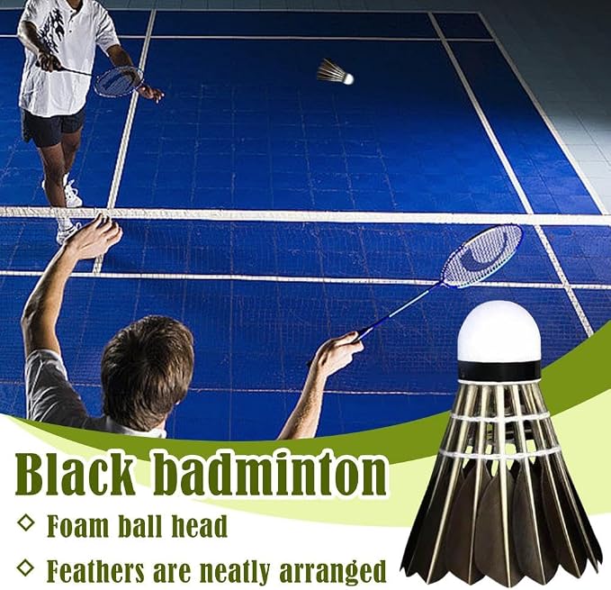 Durable Badminton Shuttlecocks,Indoor Outdoor Sports Badminton Balls Windproof Shuttlecock,Sport Ball for Training Exercise Gym Fitness Game-Aylmersport