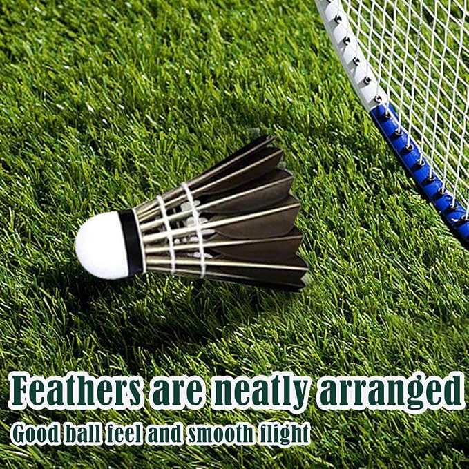 Durable Badminton Shuttlecocks,Indoor Outdoor Sports Badminton Balls Windproof Shuttlecock,Sport Ball for Training Exercise Gym Fitness Game-Aylmersport