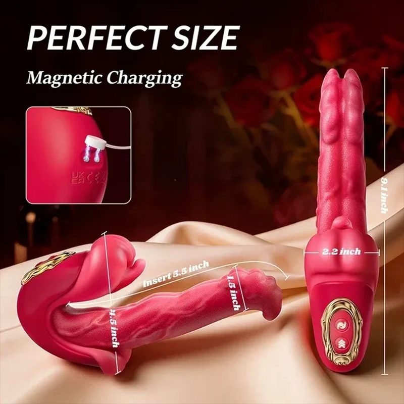 2026's Best-Selling New Product 😍—— Sincetes™5 in 1 Pelvic floor trainer plug