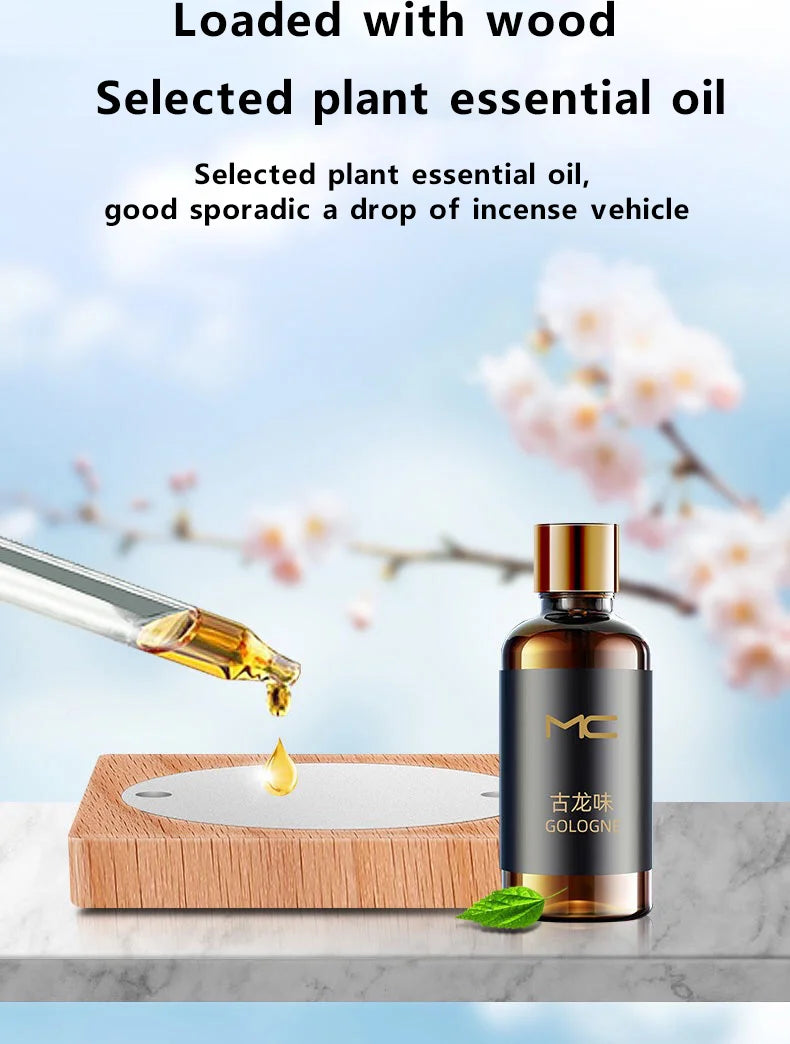Solar Airplane Car Air Freshener – Dashboard Decoration
