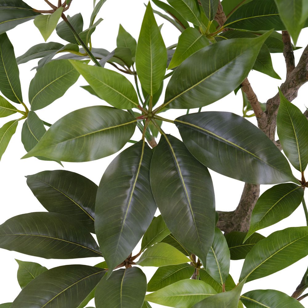 ravinest 7' Faux Potted Money Tree