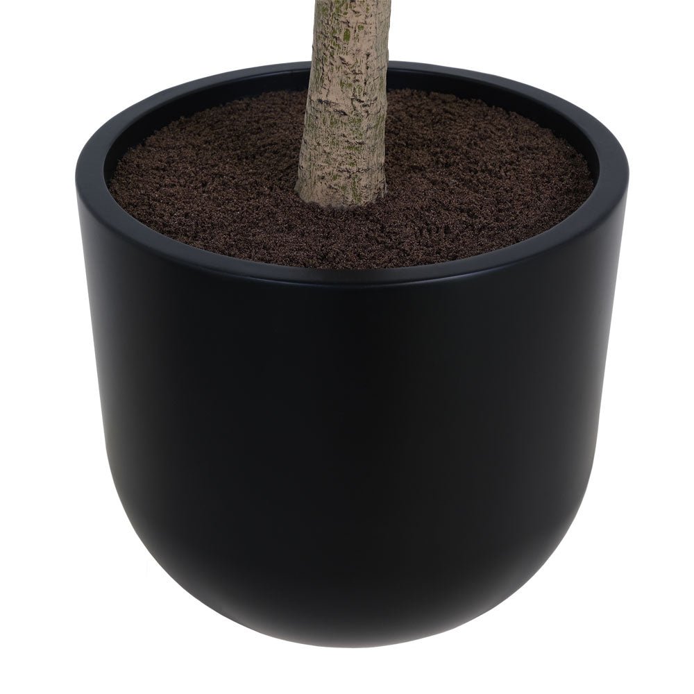 ravinest 7' Faux Potted Money Tree