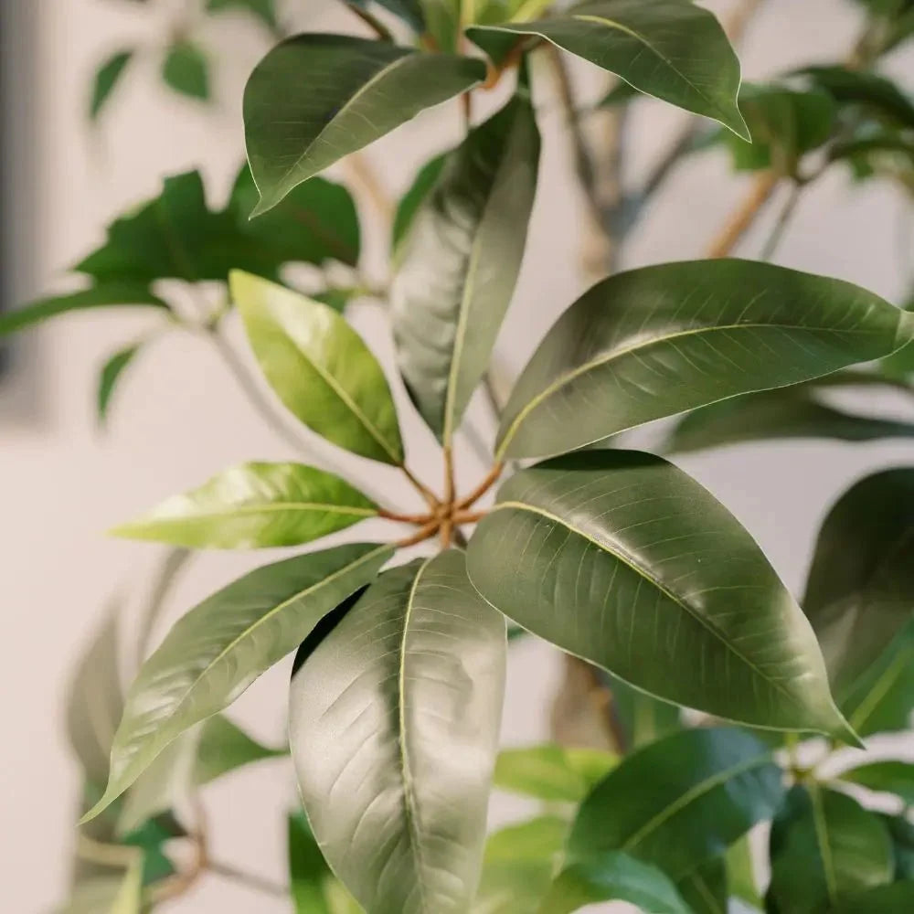 ravinest 7' Faux Potted Money Tree
