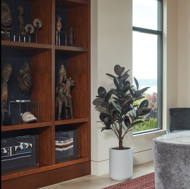 ravinest 5' Rubber Ficus Tree in Modern Planter
