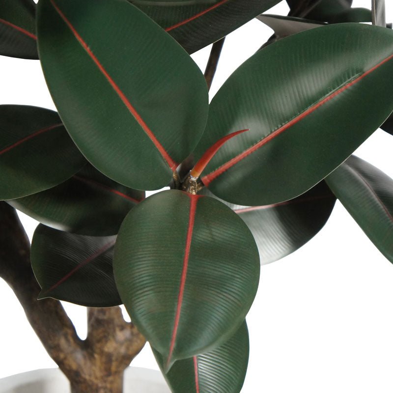 ravinest 5' Rubber Ficus Tree in Modern Planter