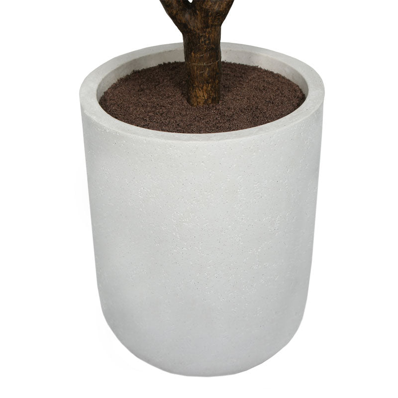 ravinest 5' Rubber Ficus Tree in Modern Planter