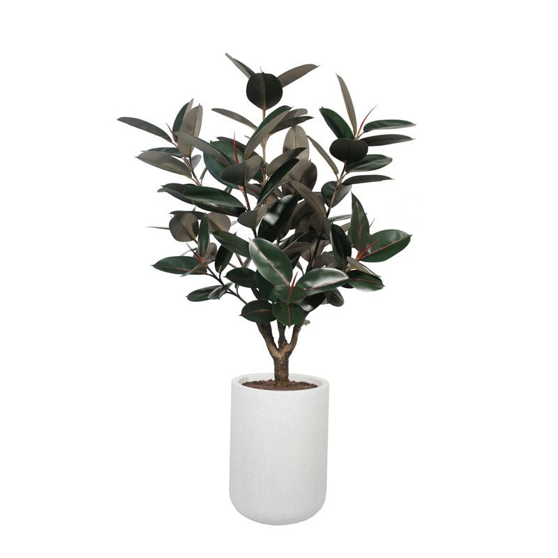 ravinest 5' Rubber Ficus Tree in Modern Planter